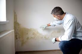 Best Forensic Mold Investigation  in Browns Lake, WI